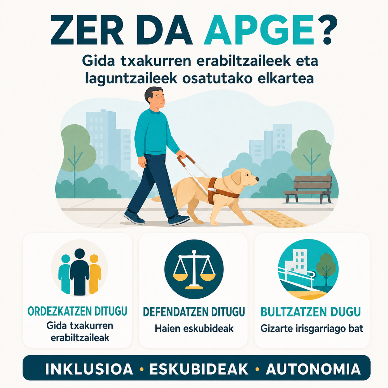 irudiaren deskribapena: APGEk gida txakurren erabiltzaileak ordezkatzen dituela, haien eskubideak defendatzen dituela eta gizarte irisgarriago bat bultzatzen duela azaltzen duen infografia, inklusioa, eskubideak eta autonomia sustatuz.