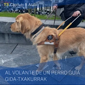 Descripción de imagen: Portada del episodio Al Volante de un perro Guía / Gida-Txakurrak. Aparece un perro guía de color claro con arnés, junto a una persona que lo sostiene con la mano en un espacio exterior. Sobre la imagen se lee el título del episodio.